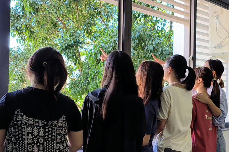 亚洲妇乱亚洲妇乱无码