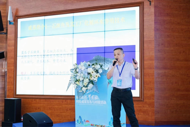 亚洲妇乱亚洲妇乱无码