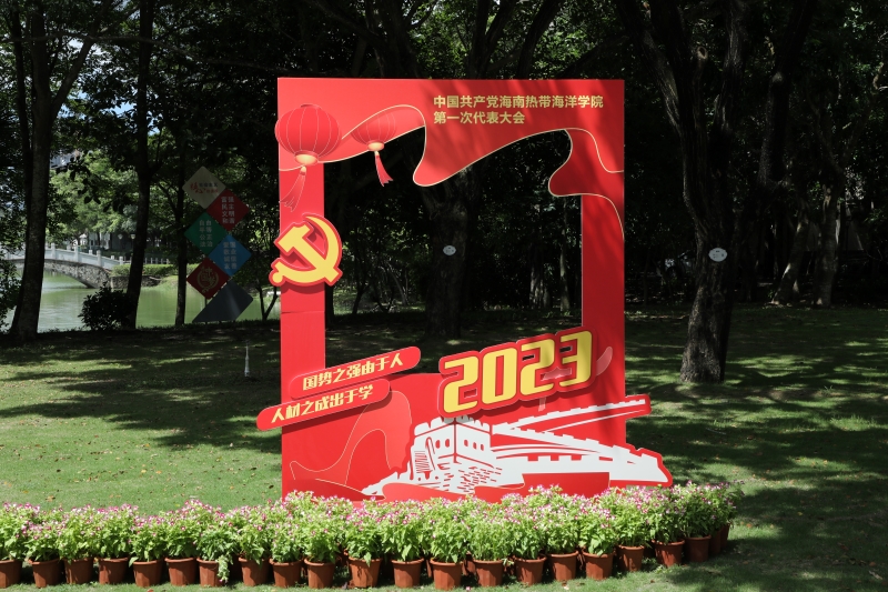 亚洲妇乱亚洲妇乱无码