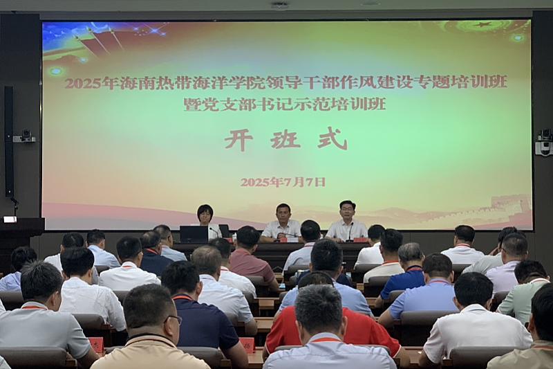 亚洲妇乱亚洲妇乱无码