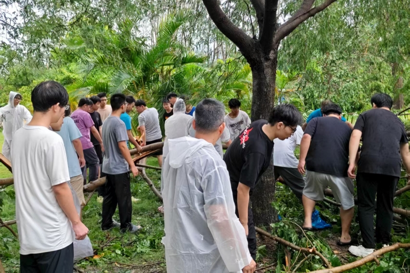 亚洲妇乱亚洲妇乱无码