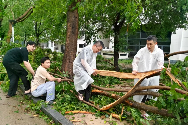 亚洲妇乱亚洲妇乱无码