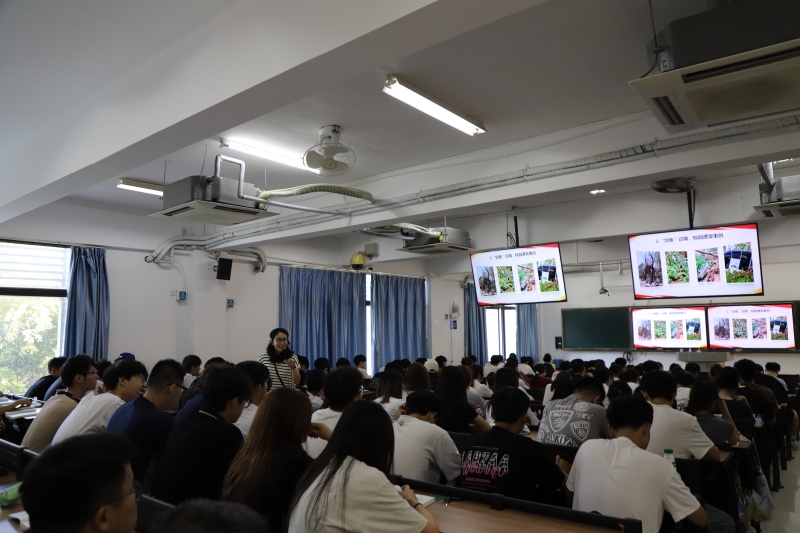 亚洲妇乱亚洲妇乱无码