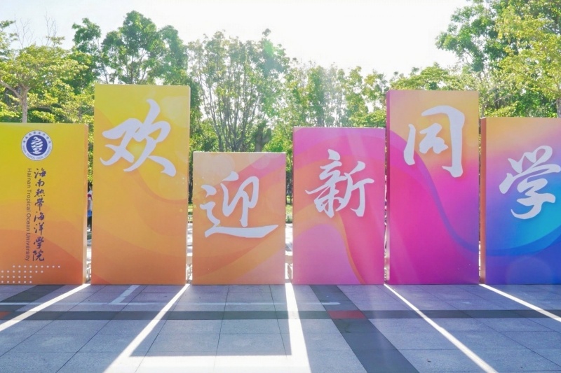 亚洲妇乱亚洲妇乱无码