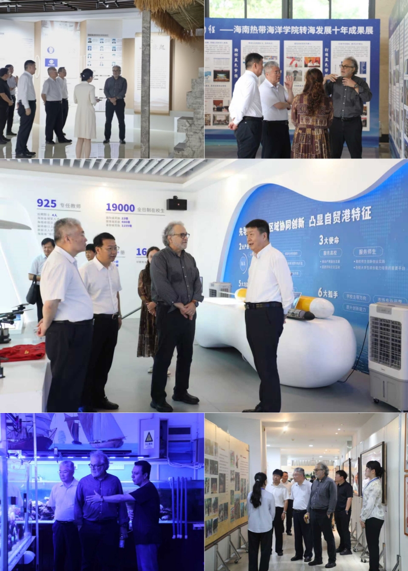 亚洲妇乱亚洲妇乱无码