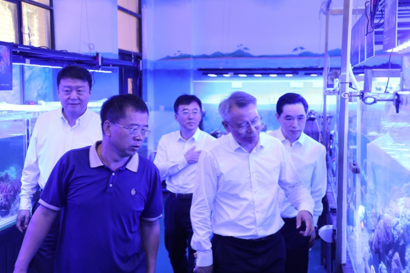 亚洲妇乱亚洲妇乱无码