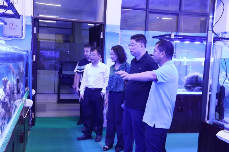 亚洲妇乱亚洲妇乱无码