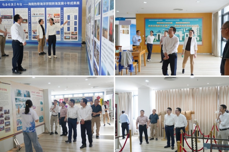 亚洲妇乱亚洲妇乱无码