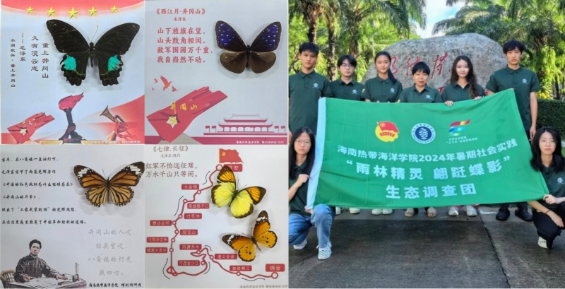 亚洲妇乱亚洲妇乱无码