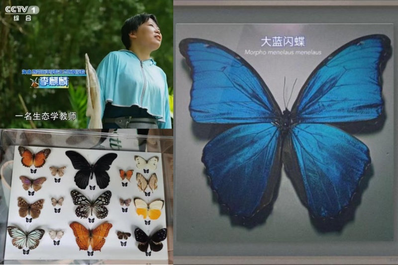 亚洲妇乱亚洲妇乱无码