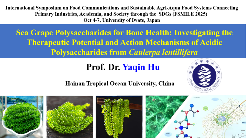 亚洲妇乱亚洲妇乱无码