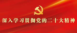 亚洲妇乱亚洲妇乱无码