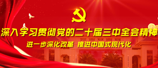 亚洲妇乱亚洲妇乱无码